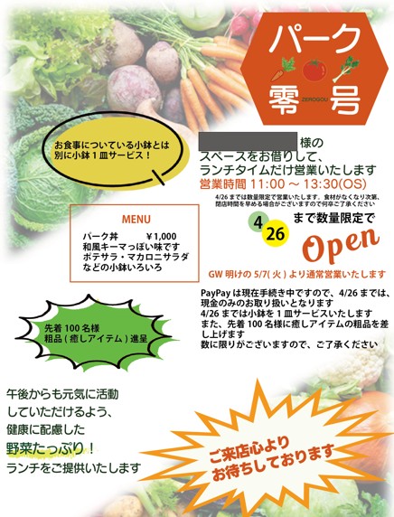 パーク零号オープニングフライヤー